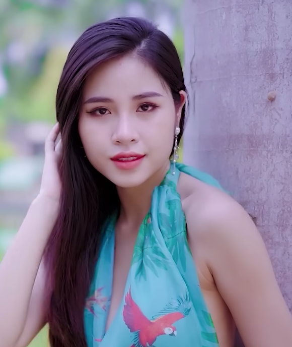lĩnh vực hoạt động